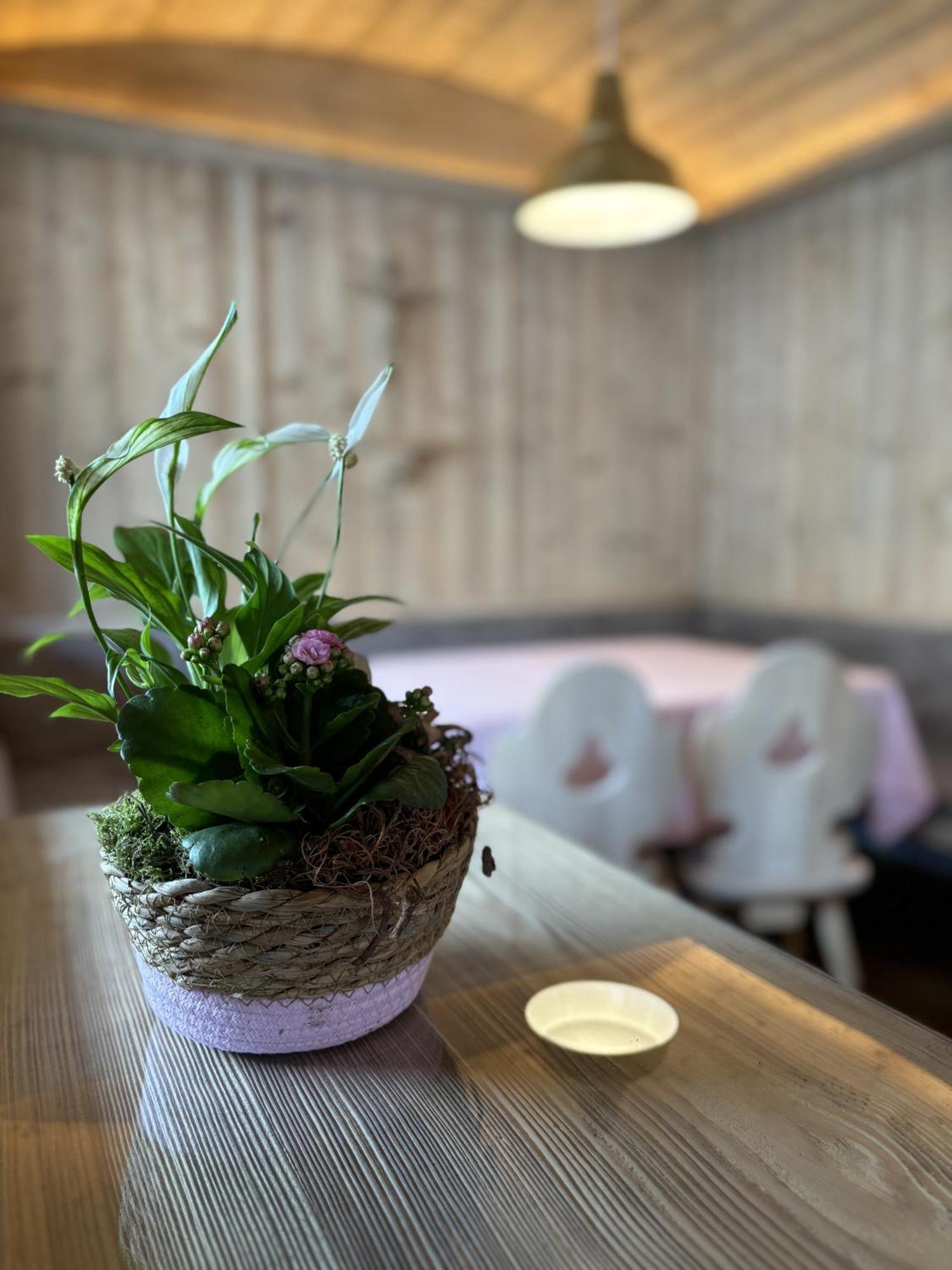 Appartement Rosa Sankt Johann in Tirol Cameră foto