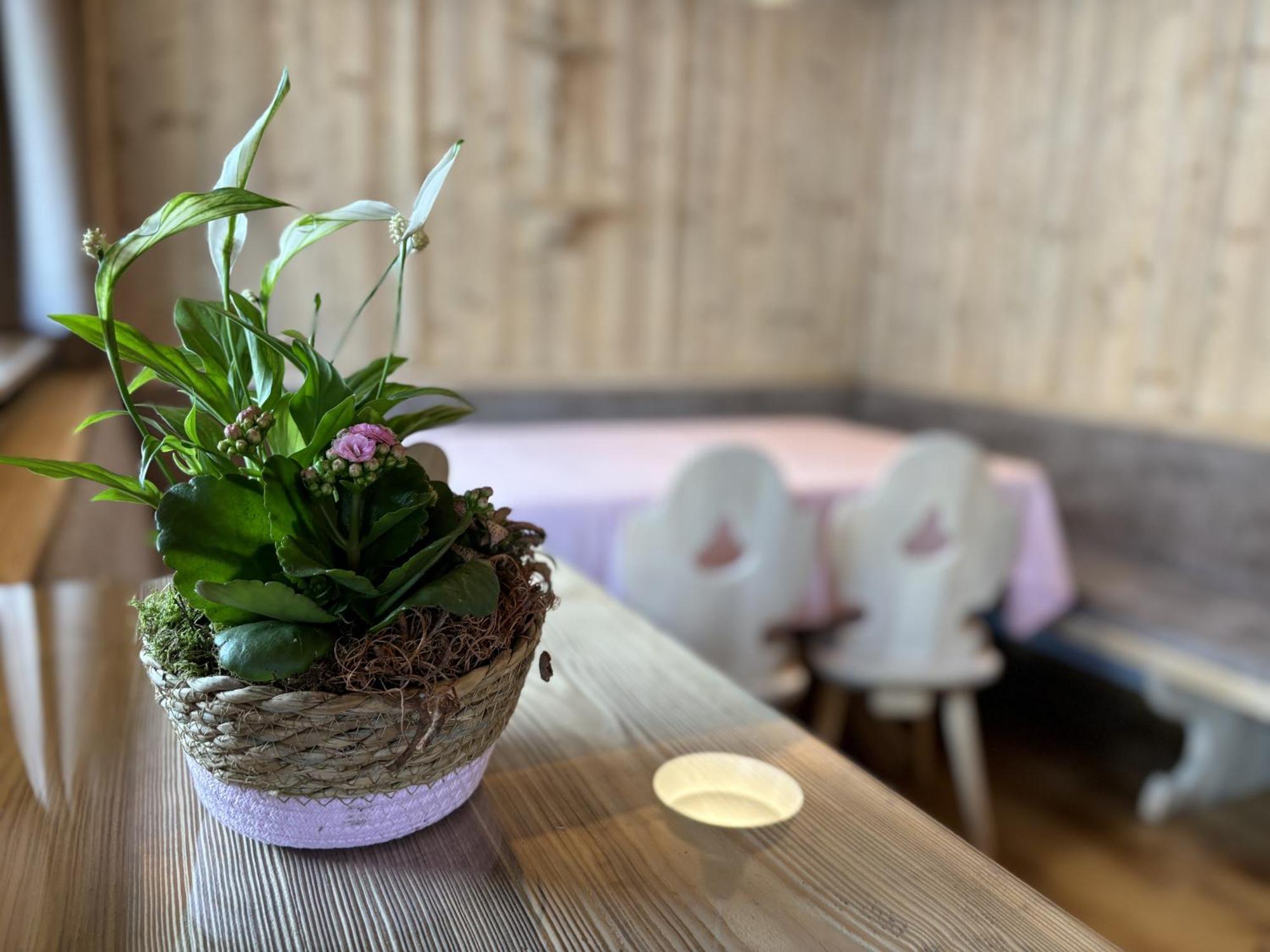 Appartement Rosa Sankt Johann in Tirol Cameră foto